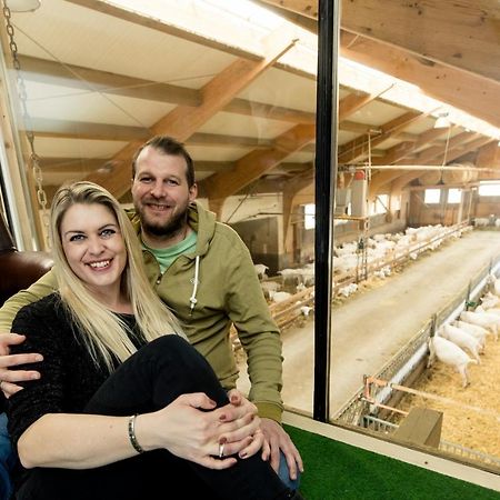 Auszeit Am Ziegenhof Nur Fuer Erwachsene Schlierbach Exterior foto